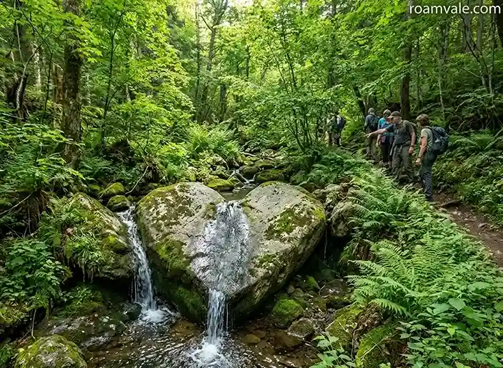 Heart Rock Trail