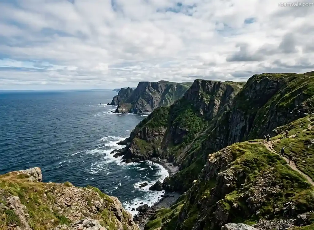 Things to Do in Newfoundland