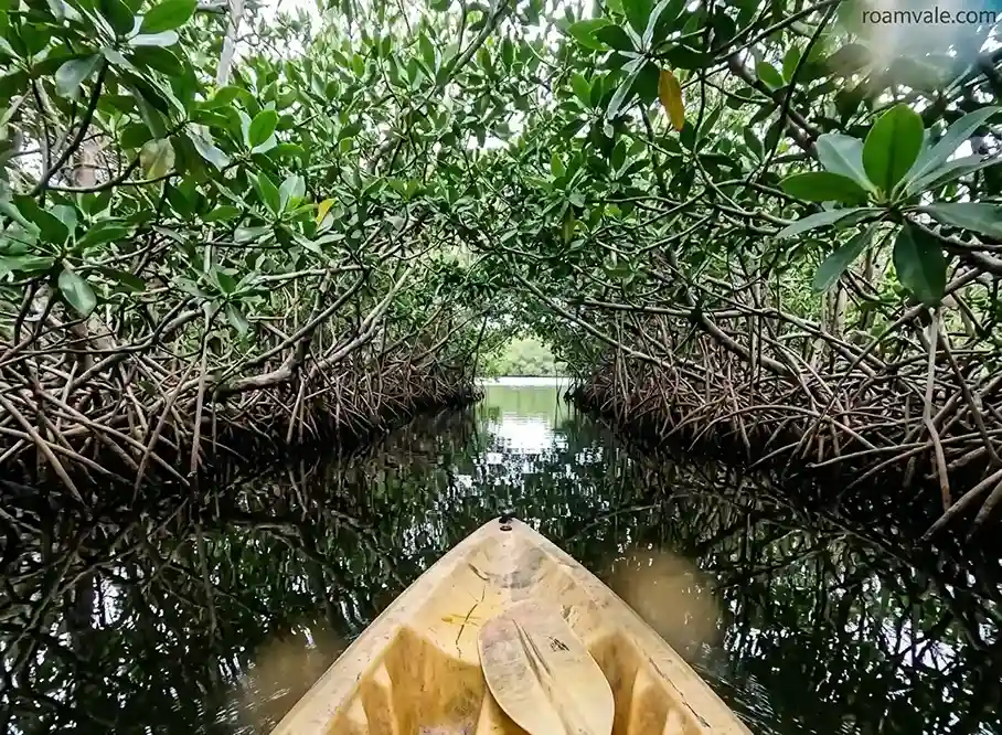 Outdoor Activities in the Florida Keys