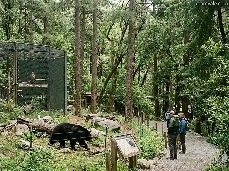 Wildhaven Ranch Wildlife Sanctuary